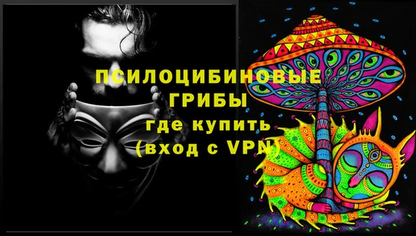 винт Алзамай