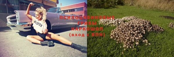 гашик Абинск