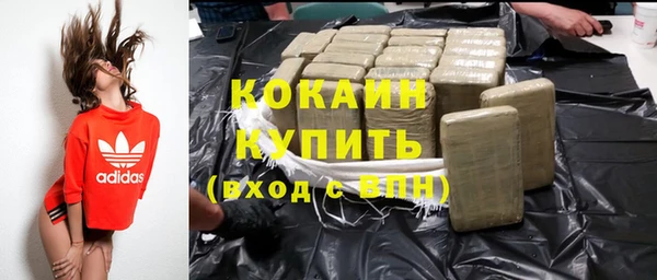 дживик Абаза