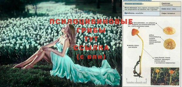 гашик Абинск