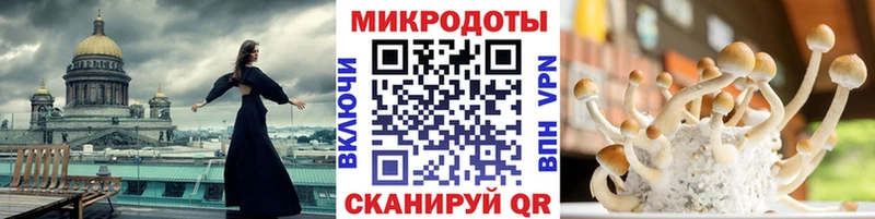 цены   Нальчик  Псилоцибиновые грибы Magic Shrooms 