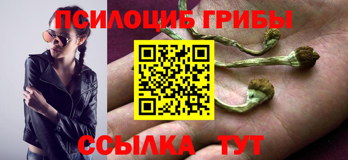 Галлюциногенные грибы ЛСД Нальчик